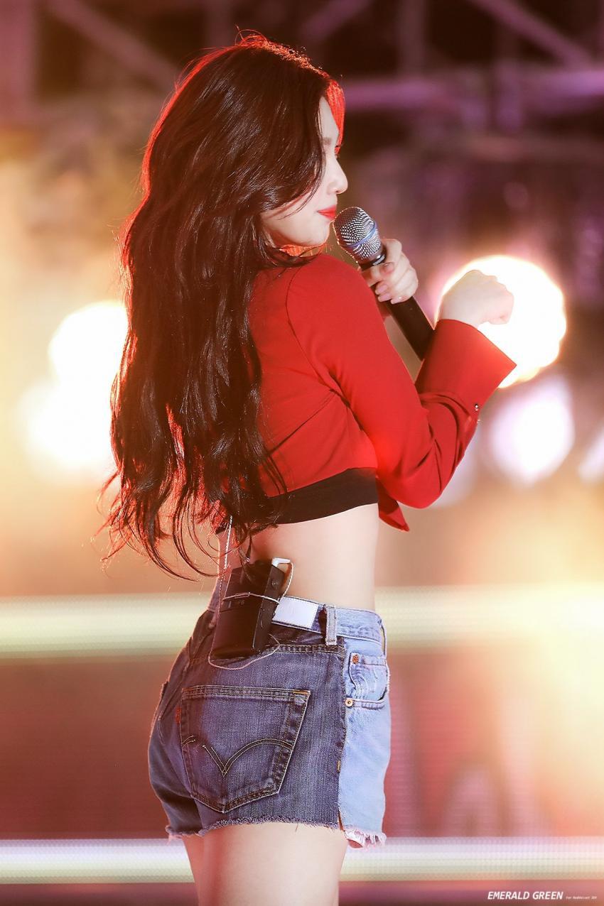 피버 페스티벌 레드벨벳 | 인스티즈
