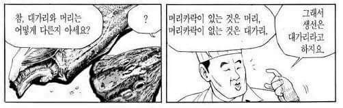 머리와 의 차이점 | 인스티즈