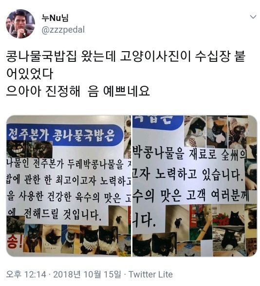 고양이를 너무 자랑하고 싶었던 콩나물 국밥집 사장님.jpg | 인스티즈