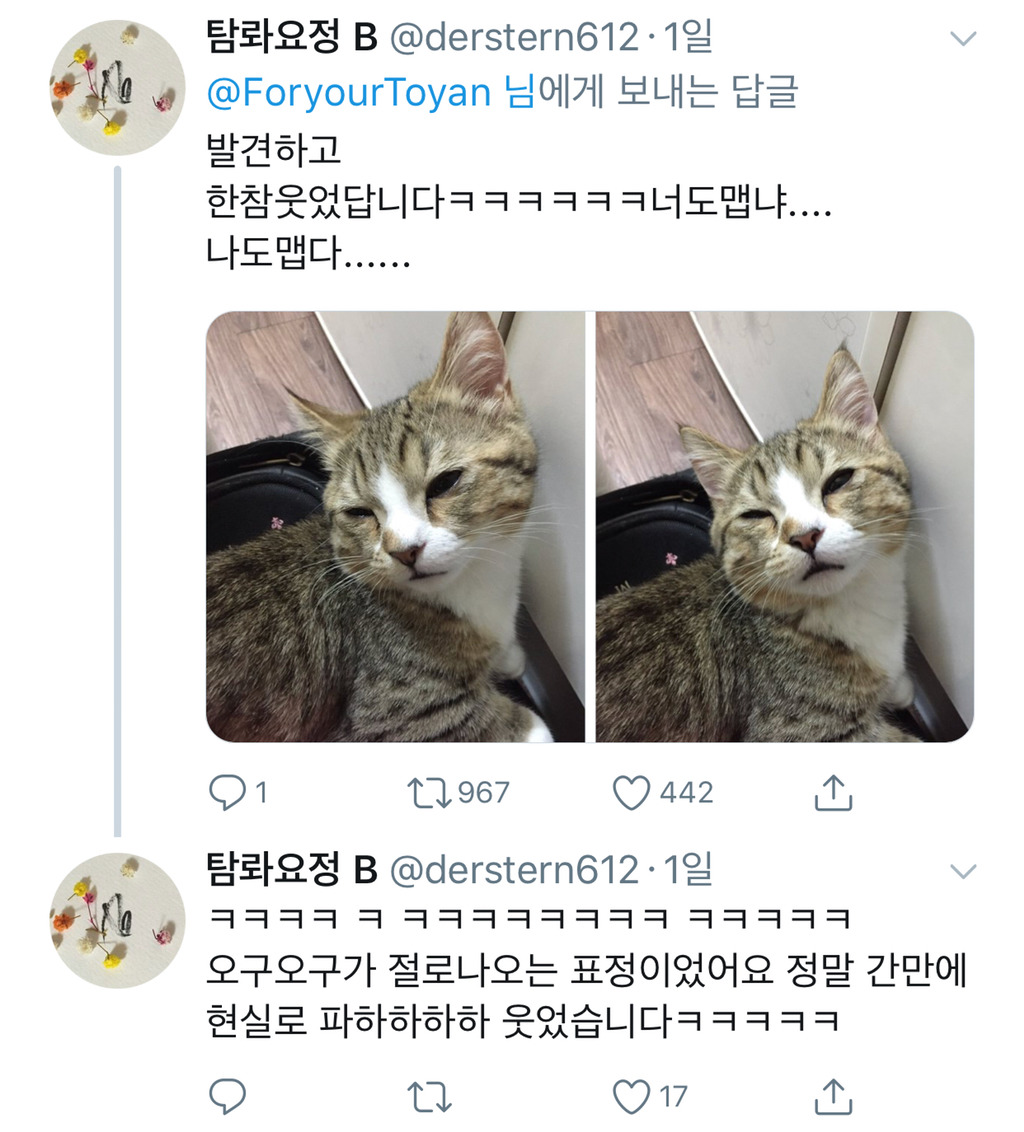 카레 만드느라 양파를 볶고 있다.twt | 인스티즈