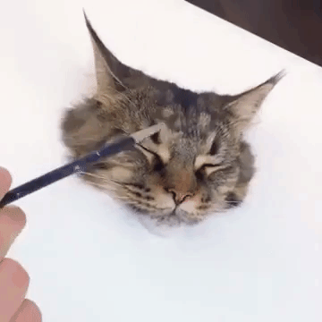 극사실주의 고양이 그리기 | 인스티즈