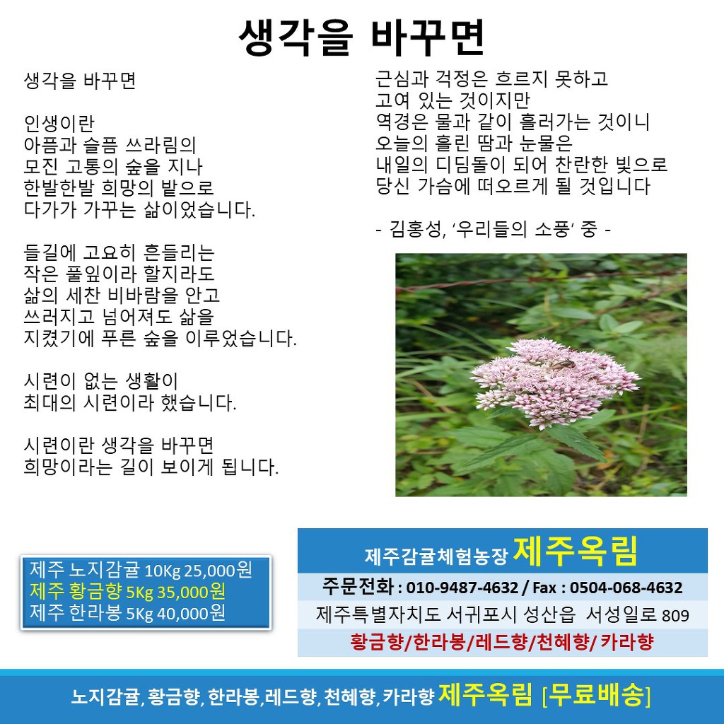 옥림 이미지