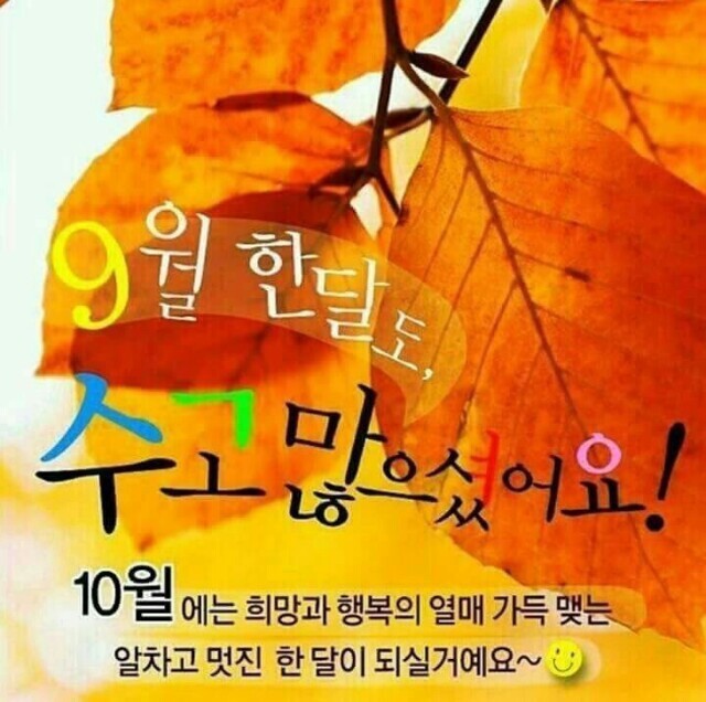 보세와차한잔 이미지