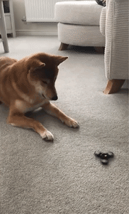 물리엔진 오류 | 인스티즈