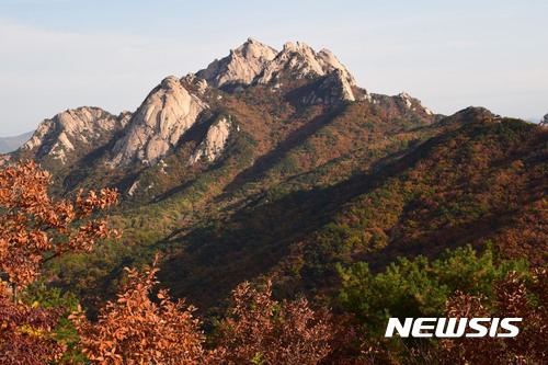 사진기자들이 포착한 2017년 단풍들.jpg | 인스티즈