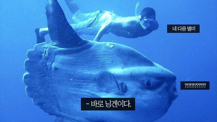 인간이 만물의 영장인 이유 | 인스티즈