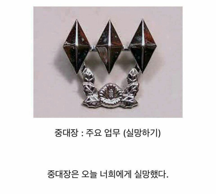 ㅇ) 중대장 주요업무.jpg | 인스티즈