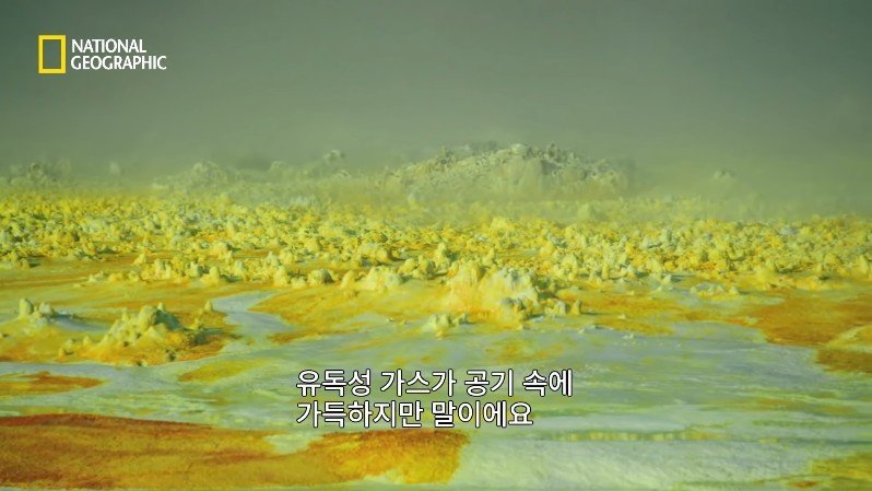 댈롤 화산: 지옥과 같은 이곳에 사는 단 하나의 생명체 | 인스티즈