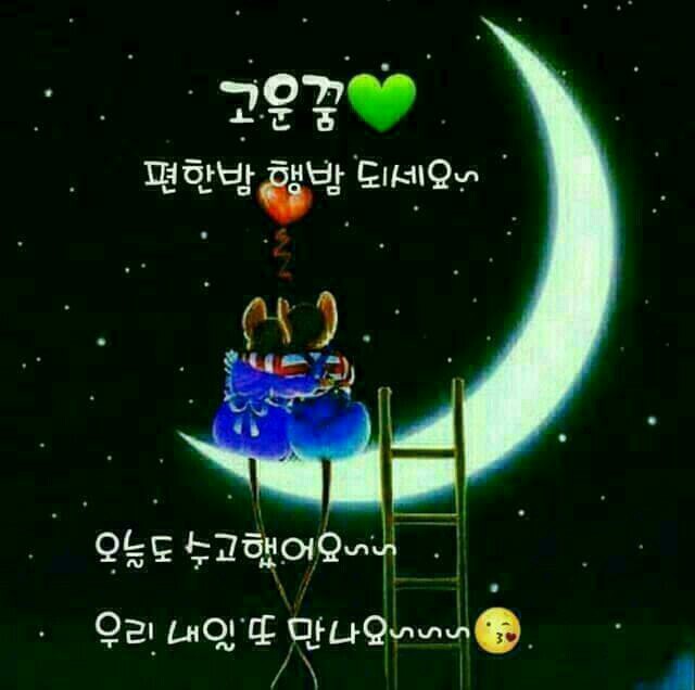 성자 이미지