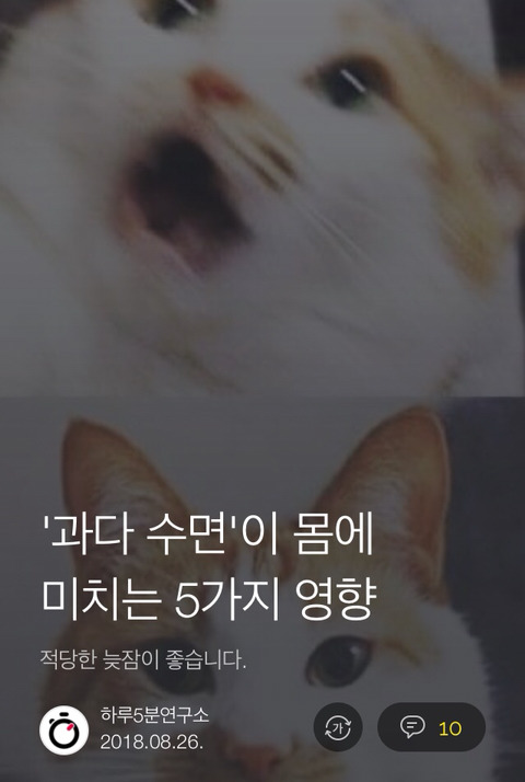 과다수면이 몸에 미치는 5가지 안좋은 영향 | 인스티즈