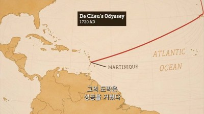 우리가 커피를 값싸게 먹을수 있는 이유 | 인스티즈