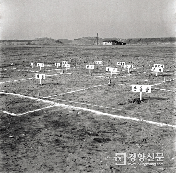 1975년 모델하우스 | 인스티즈
