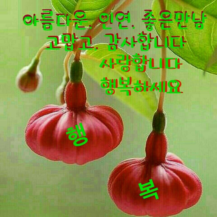 우아랑 이미지