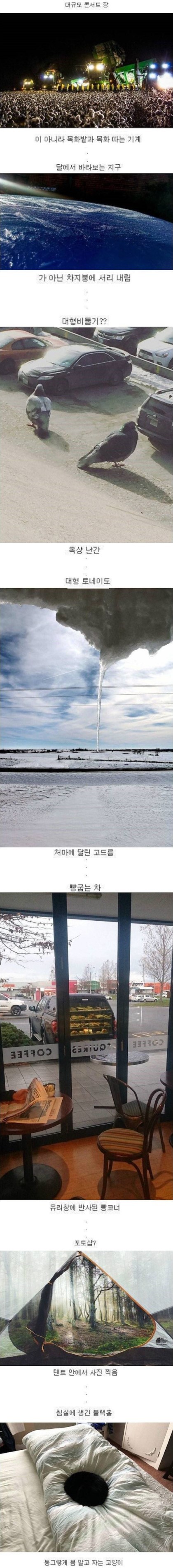 실제와 다르게 보이는 사진들.different | 인스티즈