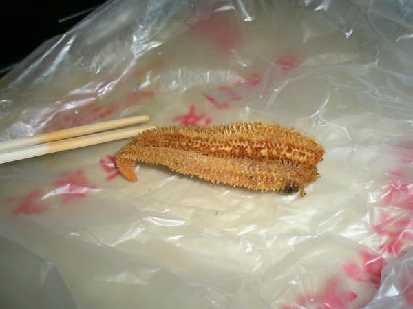 중국 벌레꼬치 리뷰! - 왕푸징거리 혐오음식 상세분석 (혐오주의) | 인스티즈