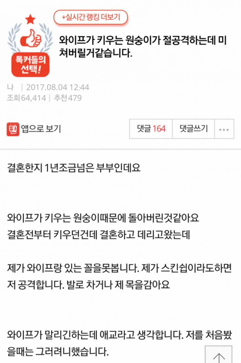 원숭이와의 신혼생활 | 인스티즈