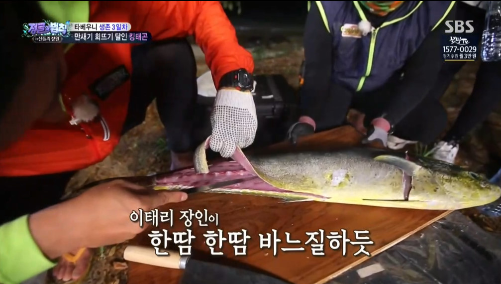 오늘자 정글의법칙 이태곤 회뜨기 클라스 | 인스티즈