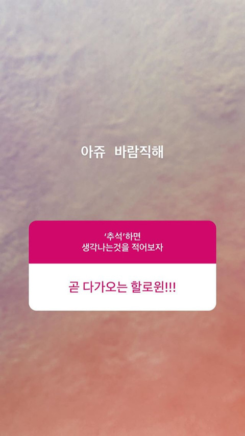 오늘자 탱구 인스타 답변 | 인스티즈