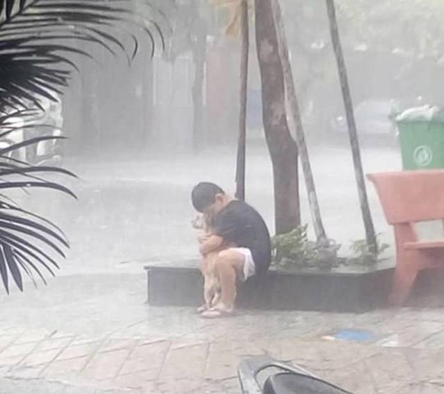 댓글이 필요 없는 사진들 | 인스티즈