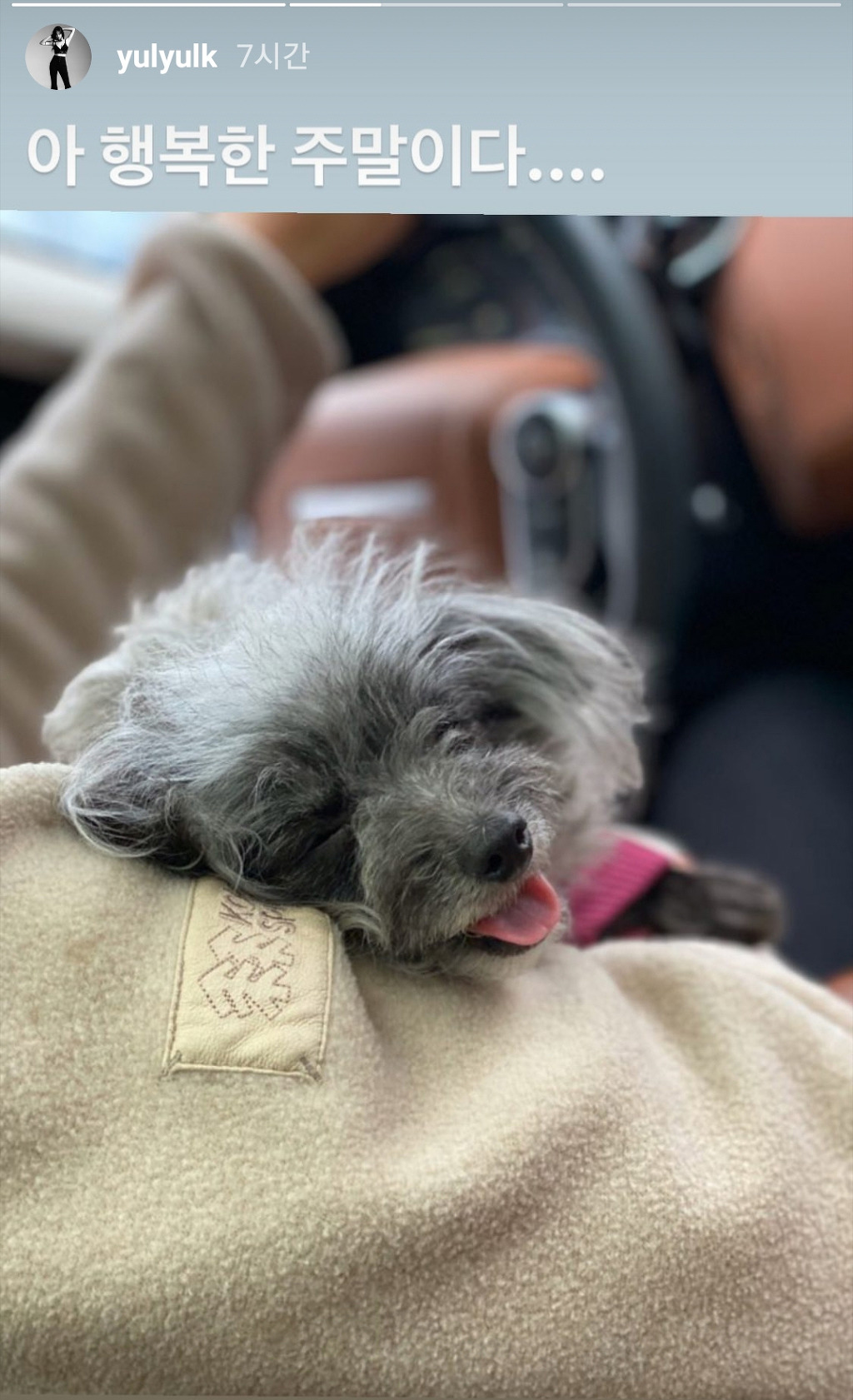 99DCD24B5E9379600A13BF