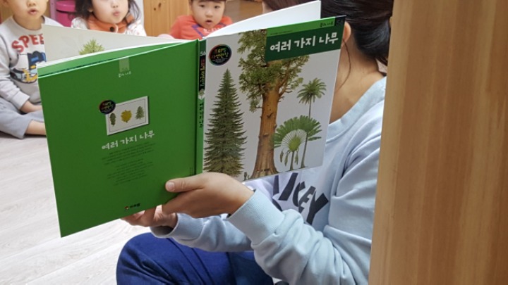 산에나무 이미지
