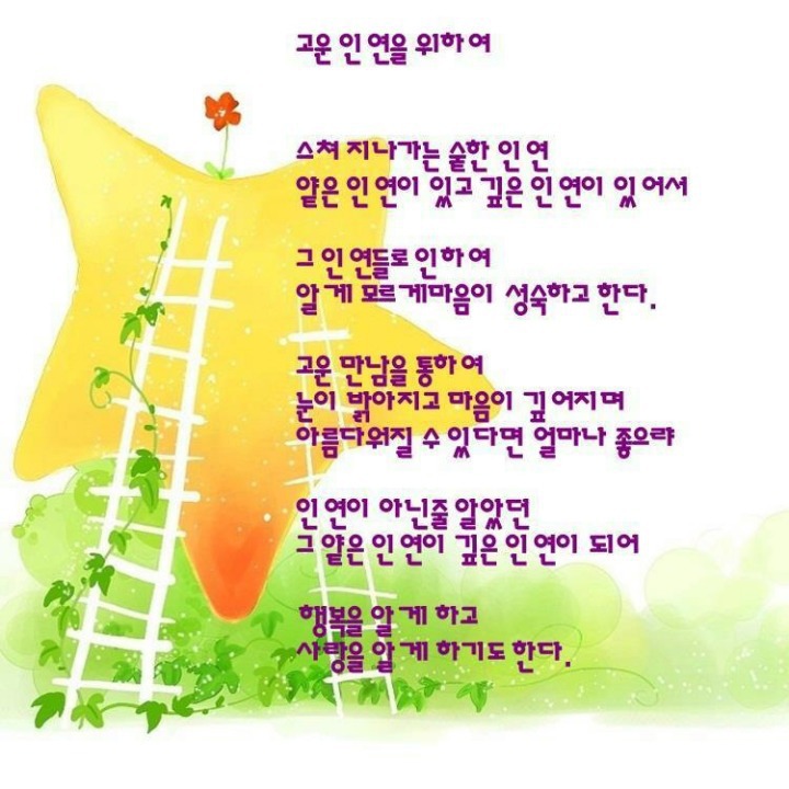 보세와차한잔 이미지
