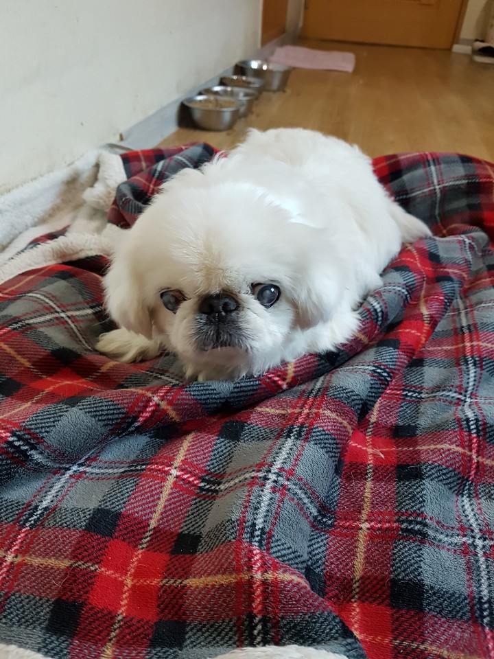 뽀송뽀송 이미지