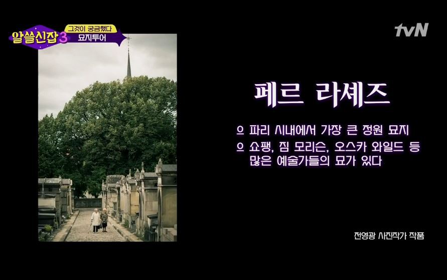 [알쓸신잡3] 마지막회에서 사진 무단도용에 대해 사과한 알쓸신잡 | 인스티즈