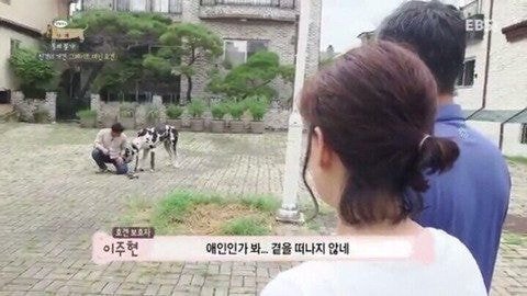편견없는 대한민국ㅋㅋㅋㅋㅋㅋㅋㅋㅋㅋ.jpg | 인스티즈