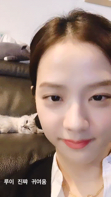 블핑 지수 고양이 | 인스티즈