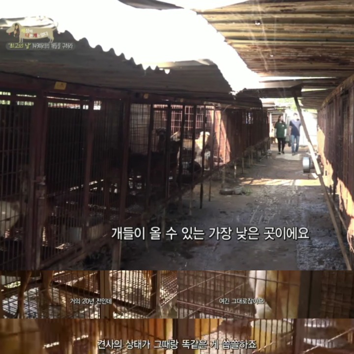 제발 살려줘. .. 우리주변의 아기들 이야기야 | 인스티즈