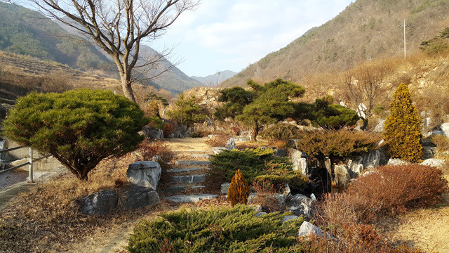 오도산자연휴양림 이미지