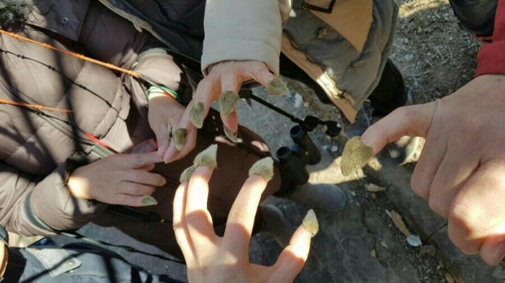 여우손 이미지