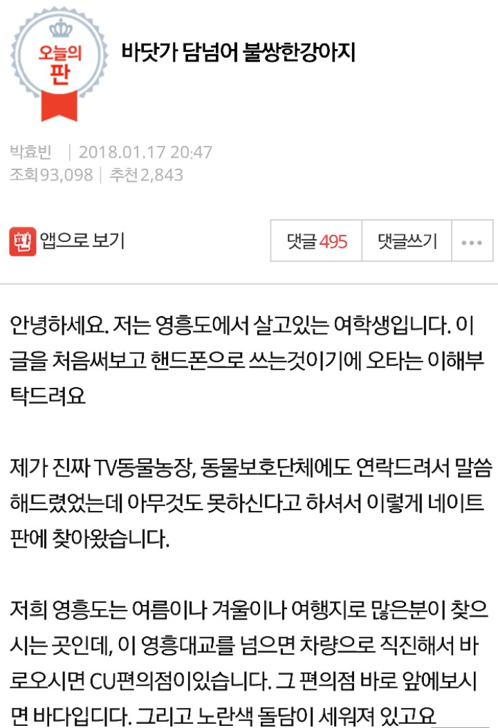 불쌍한 리트리버 | 인스티즈