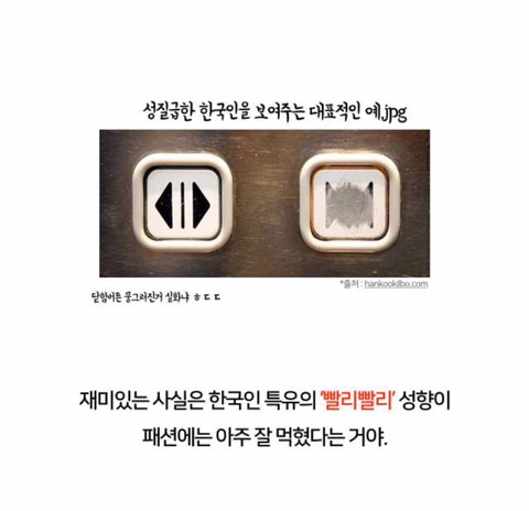 옷장사로 미국에서 억만장자가 된 한국인 부부 | 인스티즈