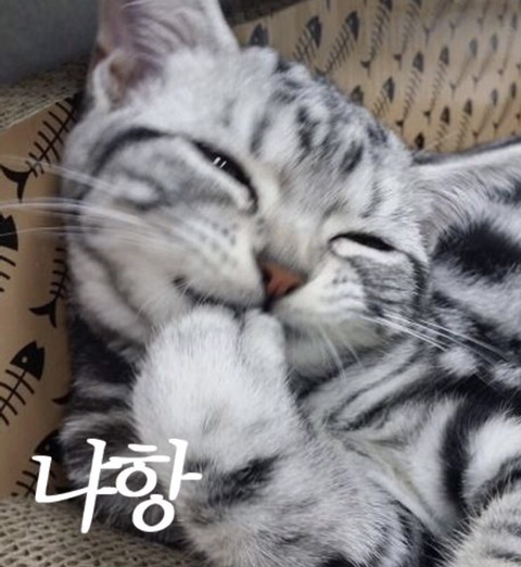 공감 이미지