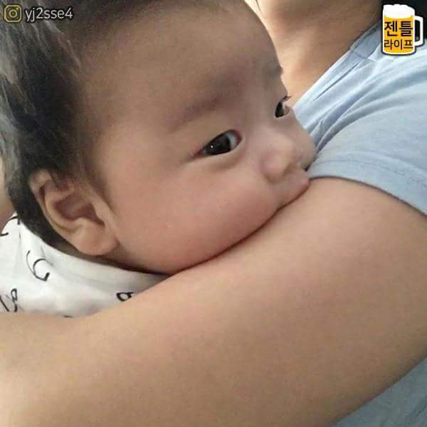 아기들의 통통한 볼살 | 인스티즈