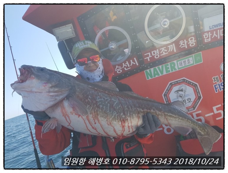 해병호 이미지