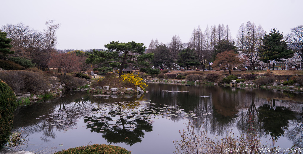 수양 이미지