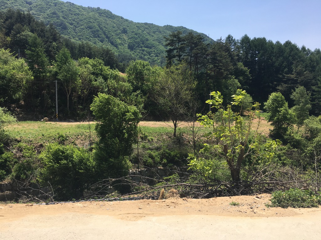 정화전기 이미지