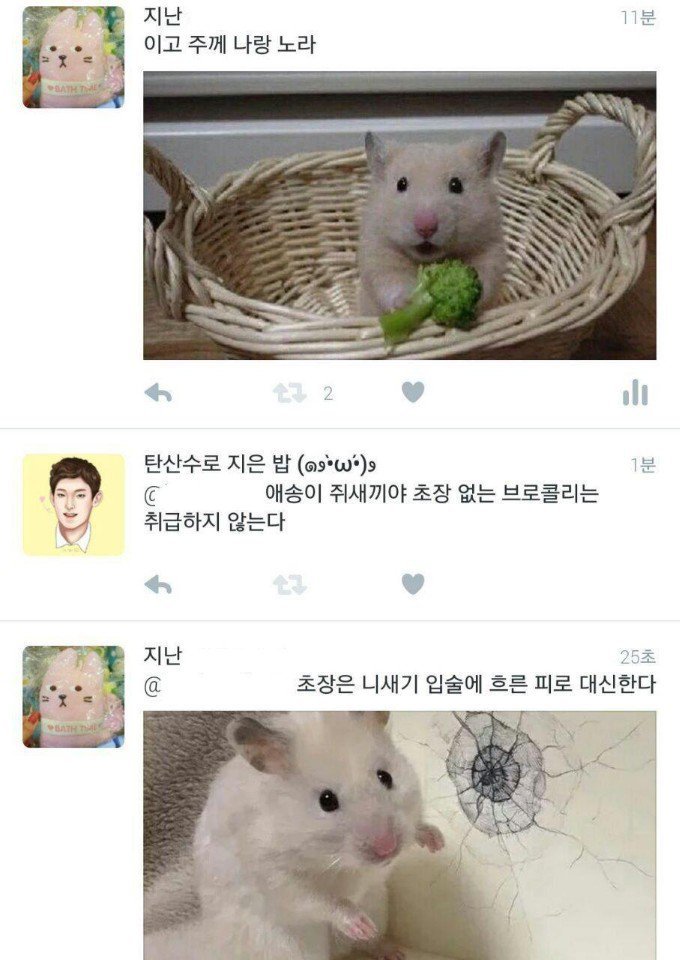 패기쩌는 햄스터 샛기.JPG | 인스티즈