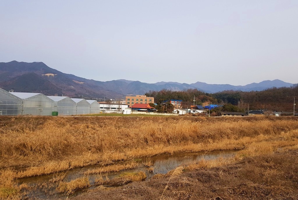 요천묘 이미지