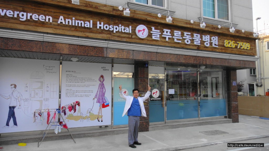 늘푸른 동물병원 - 상업공간 - 디자인 웰컴 늘푸른 동물병원